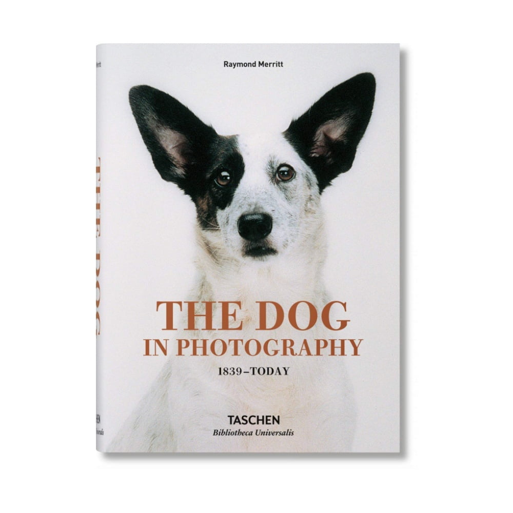 Livro - The Dog in Photography