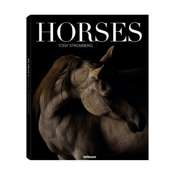Horses, Tony Stromberg