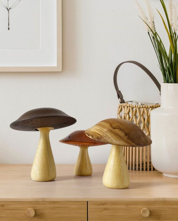 Cogumelos Fantásticos (madeiras variadas sendo um roxo)