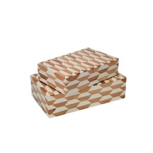 WhatsApp Image 2025-08-25 at 12.11.31