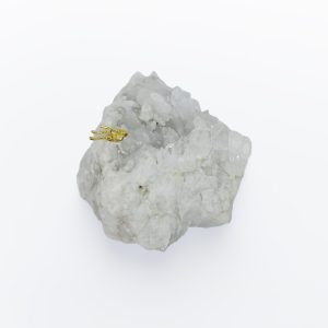 batch_IMG-20251001-WA0049