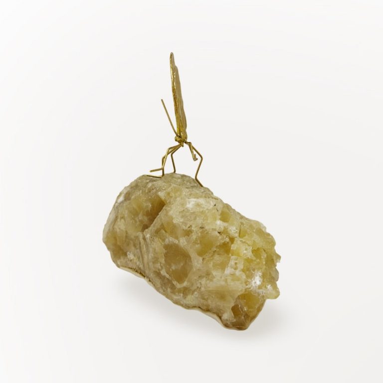 batch_IMG-20251001-WA0050 batch_IMG-20251001-WA0050