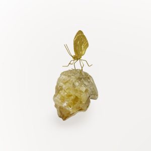 batch_IMG-20251001-WA0052 batch_IMG-20251001-WA0052