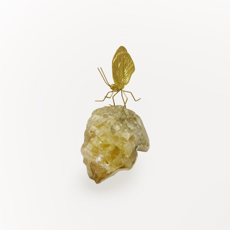 batch_IMG-20251001-WA0052 batch_IMG-20251001-WA0052