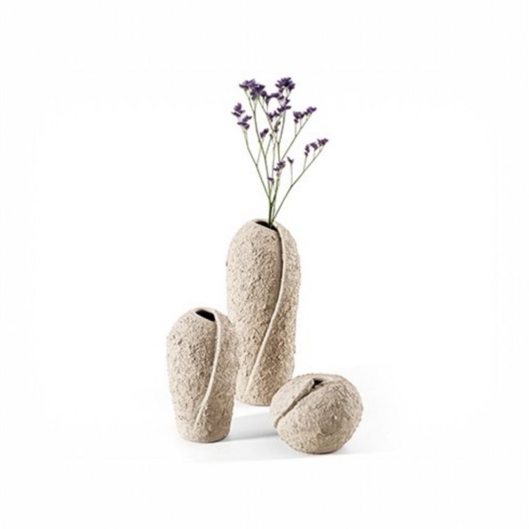 batch_Photoroom_20250812_150159