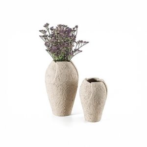 batch_Photoroom_20250812_150313