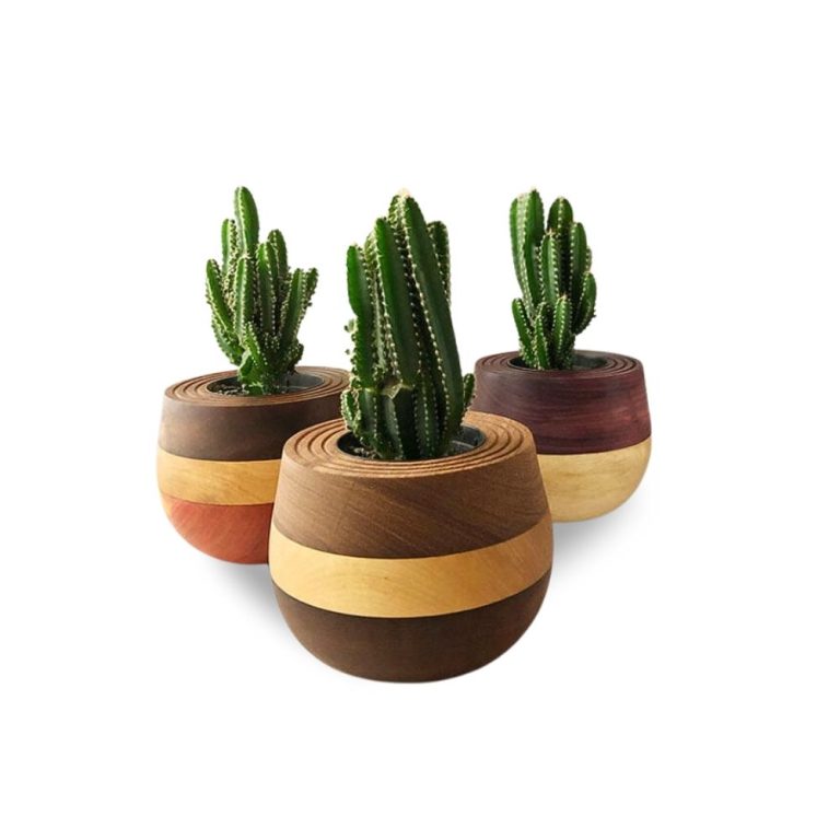 WhatsApp Image 2025-09-25 at 16.10.09