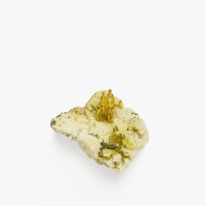 WhatsApp Image 2025-10-15 at 11.25.38 (2)