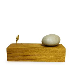 WhatsApp Image 2025-10-15 at 11.25.39