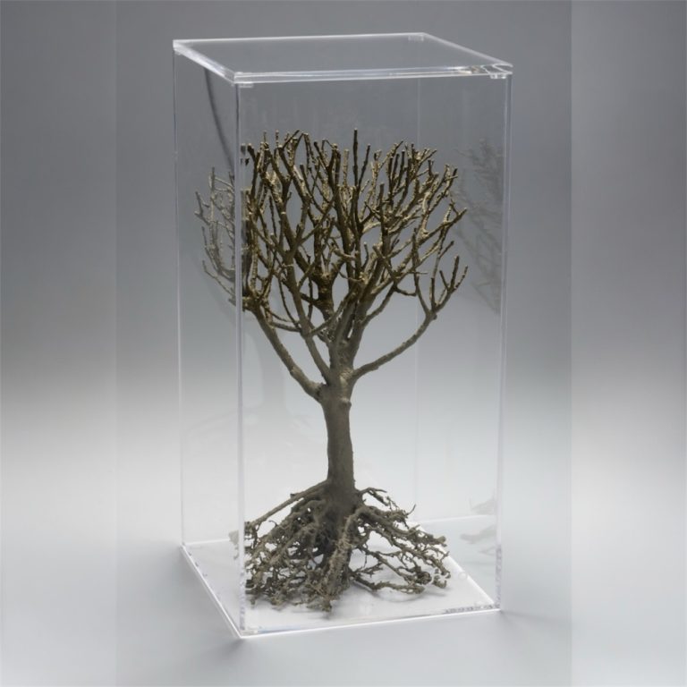 batch_Photoroom_20251009_111227