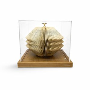 WhatsApp Image 2026-03-03 at 13.13.01 (2)