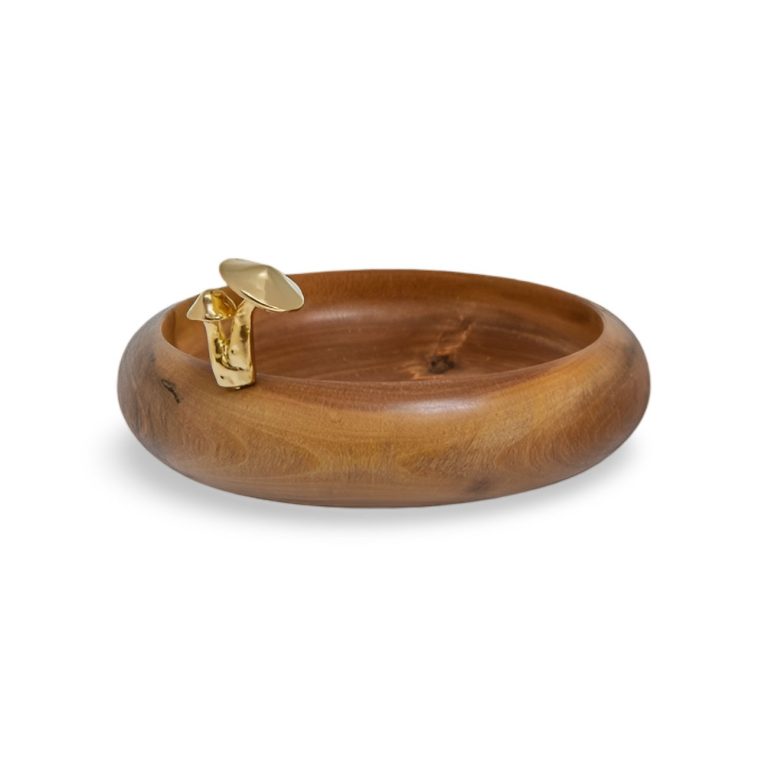 WhatsApp Image 2026-02-09 at 10.38.34 (1)