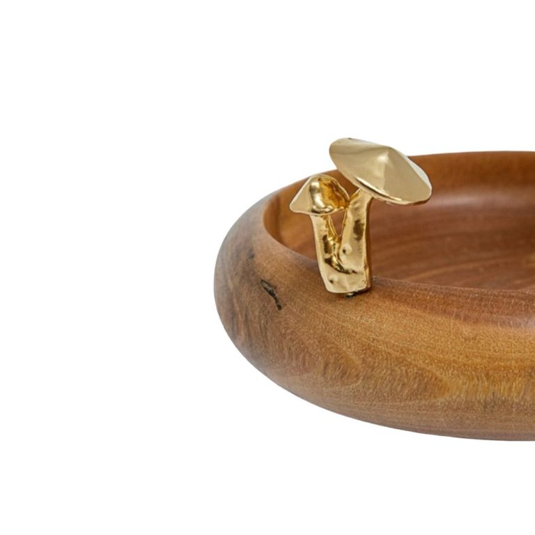 WhatsApp Image 2026-02-09 at 10.38.34