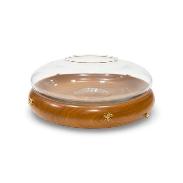 WhatsApp Image 2026-02-09 at 10.38.37