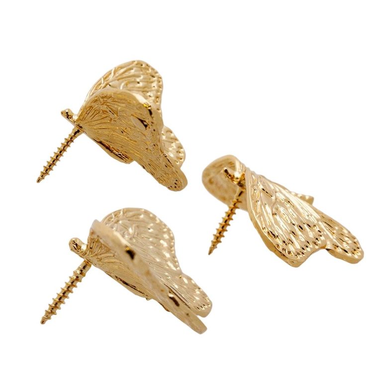 WhatsApp Image 2026-02-09 at 10.38.38 (5)