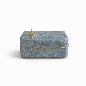 WhatsApp Image 2026-02-10 at 11.39.16