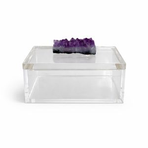 WhatsApp Image 2026-02-10 at 12.59.49