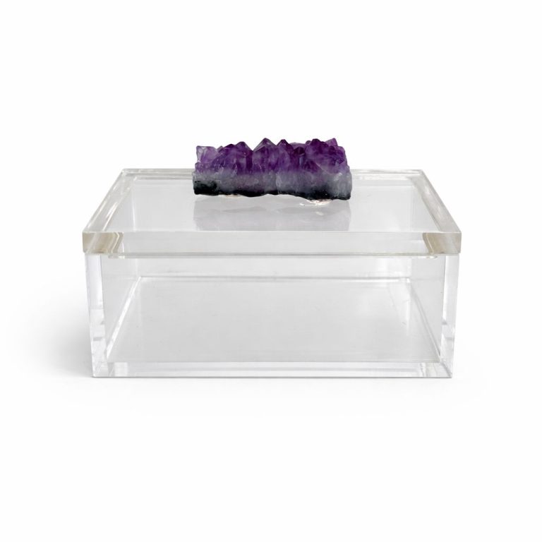 WhatsApp Image 2026-02-10 at 12.59.49