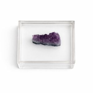 WhatsApp Image 2026-02-10 at 13.00.27