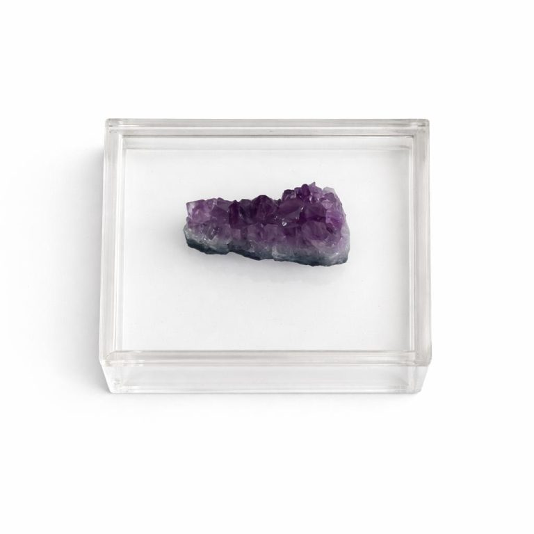 WhatsApp Image 2026-02-10 at 13.00.27