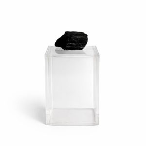 WhatsApp Image 2026-02-24 at 13.25.01