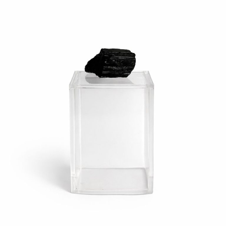 WhatsApp Image 2026-02-24 at 13.25.01