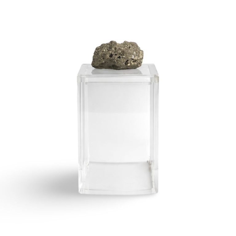 WhatsApp Image 2026-02-24 at 13.27.48