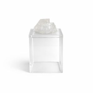 WhatsApp Image 2026-02-24 at 13.28.20