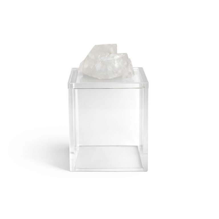 WhatsApp Image 2026-02-24 at 13.28.20