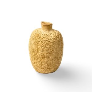 WhatsApp Image 2026-02-25 at 11.12.41 (1)