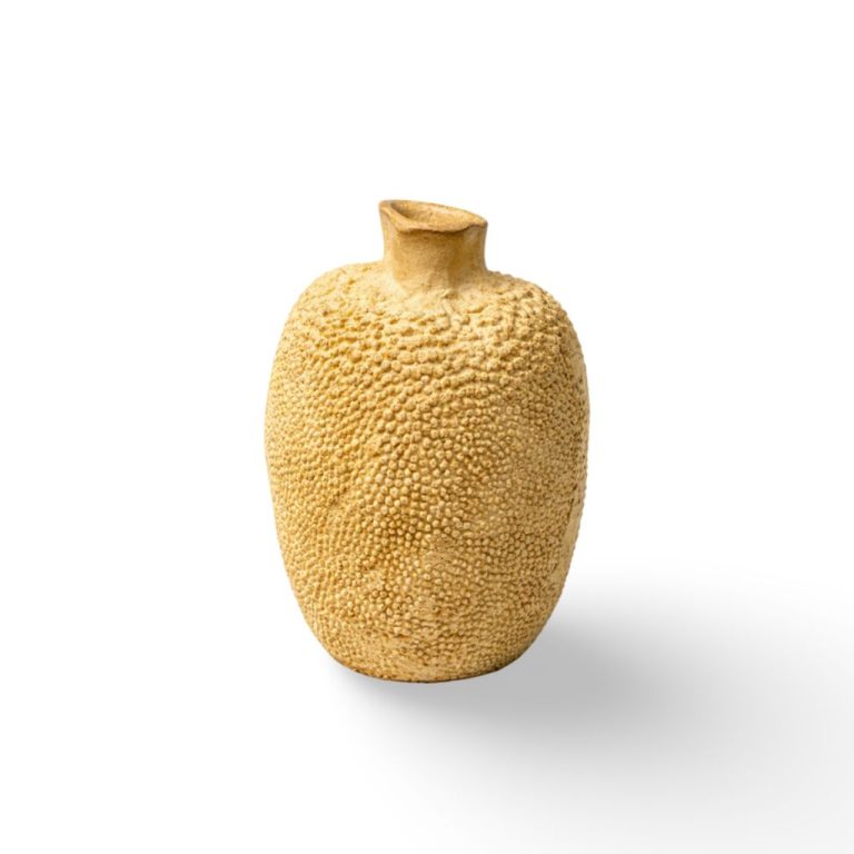 WhatsApp Image 2026-02-25 at 11.12.41 (1)