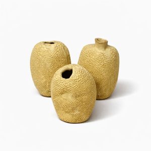 WhatsApp Image 2026-02-25 at 11.12.41