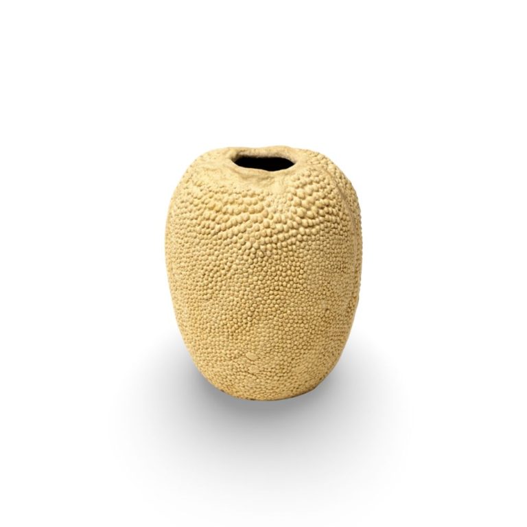 WhatsApp Image 2026-02-25 at 11.12.42 (5)