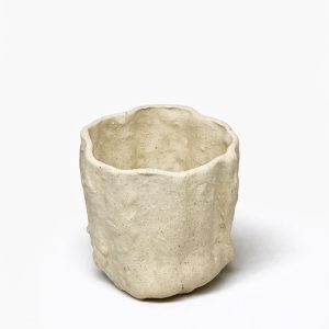 WhatsApp Image 2026-02-25 at 11.12.43 (2)