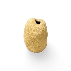 WhatsApp Image 2026-02-25 at 11.12.43