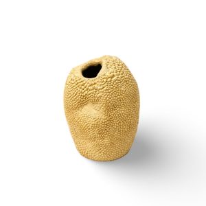 WhatsApp Image 2026-02-25 at 11.12.43 (5)