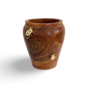 WhatsApp Image 2026-03-06 at 11.12.02 (1)