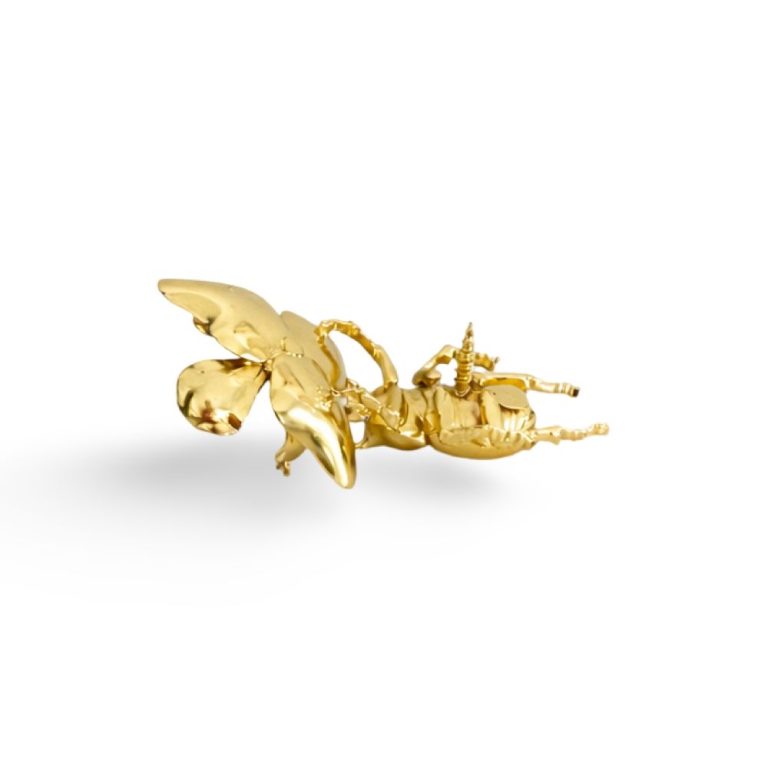 WhatsApp Image 2026-03-06 at 11.42.45 WhatsApp Image 2026-03-06 at 11.42.45