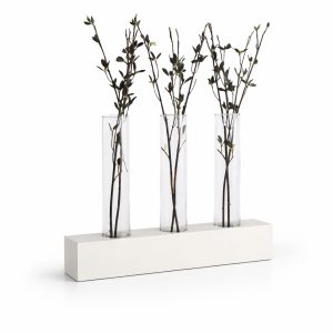 WhatsApp Image 2026-03-30 at 12.00.42