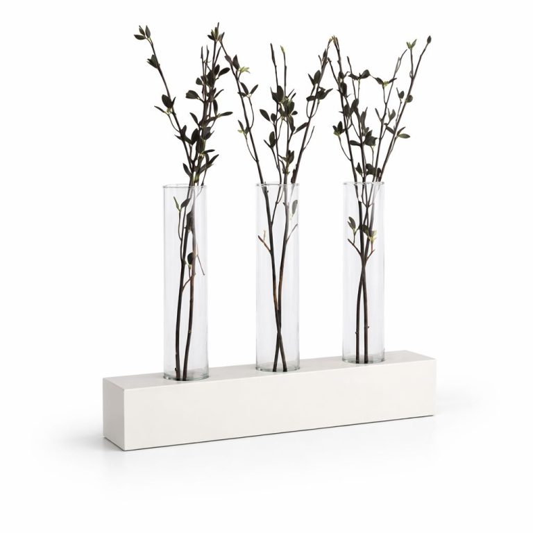 WhatsApp Image 2026-03-30 at 12.00.42