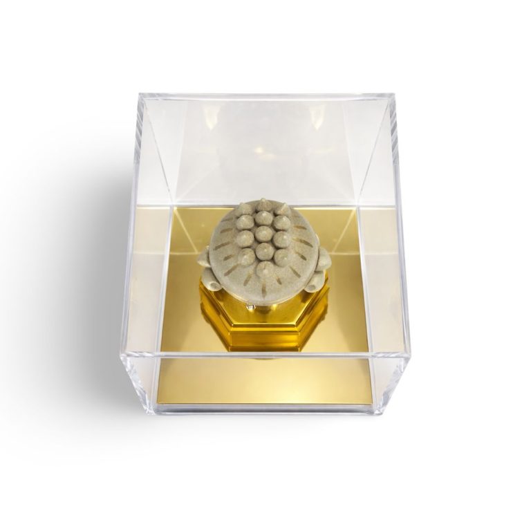 WhatsApp Image 2026-03-31 at 11.23.00 (1)