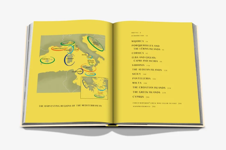WINE-AND-TRAVEL_SPREAD_GREY_1